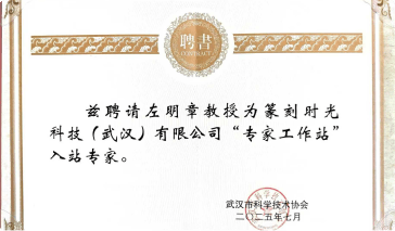 专家团队